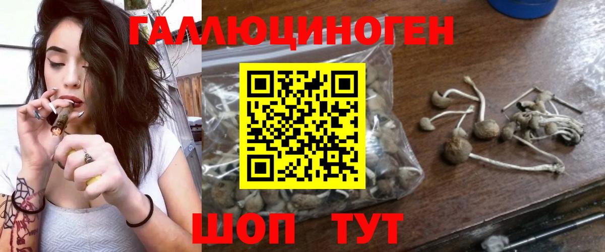 Галлюциногенные грибы Magic Shrooms  Галлюциногенные грибы Psilocybine cubensis  купить  цена  Альметьевск  Вход с VPN 